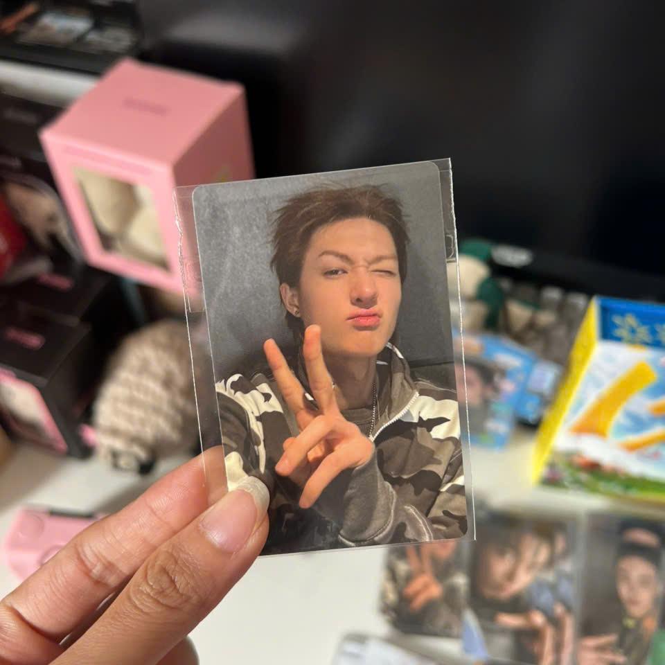 Photocard Cortis GREENGREEN official - Thẻ ảnh bo góc chính hãng