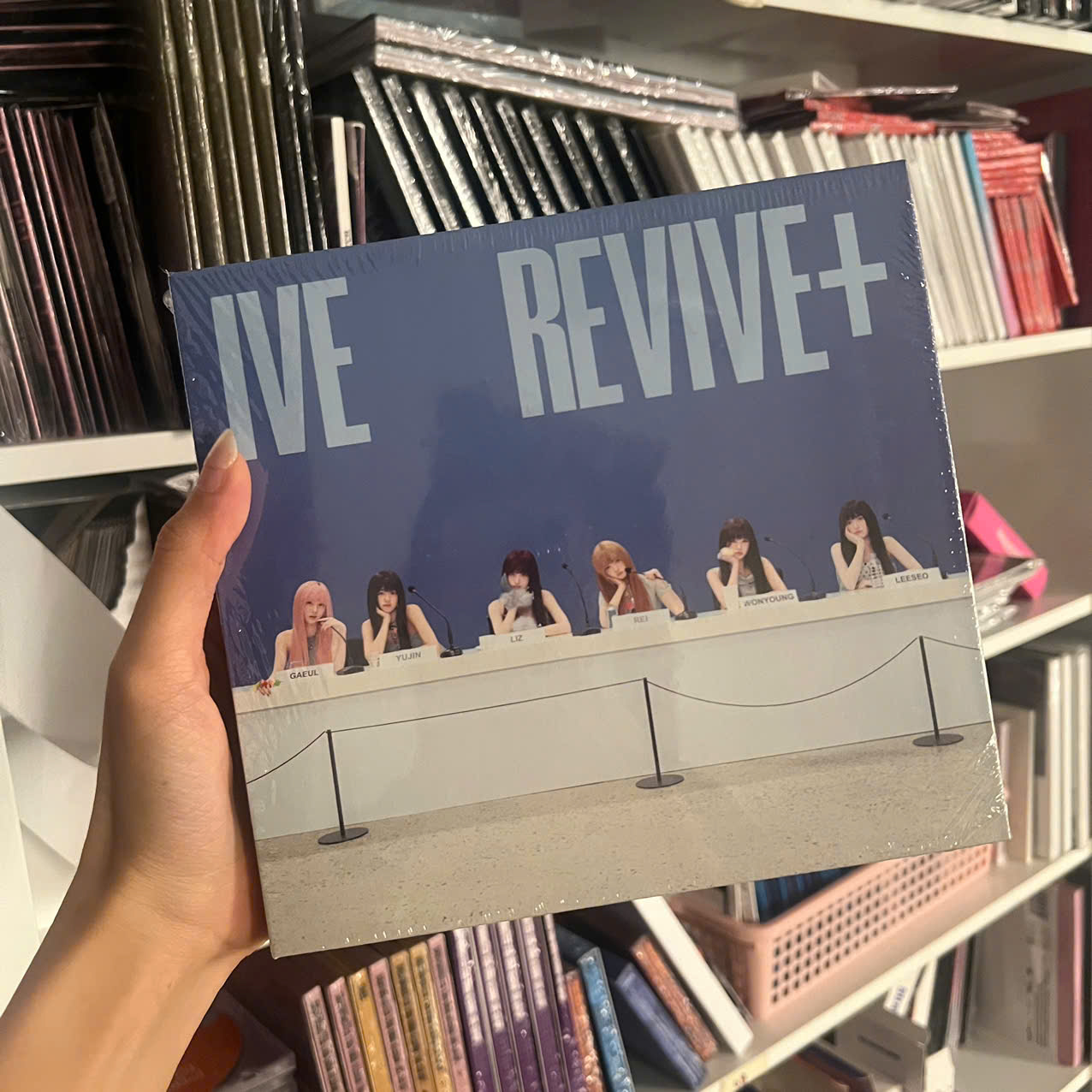 Bộ thẻ ảnh gấu bông IVE REVIVE+