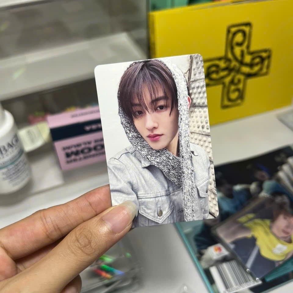 Photocard Cortis GREENGREEN official - Thẻ ảnh bo góc chính hãng