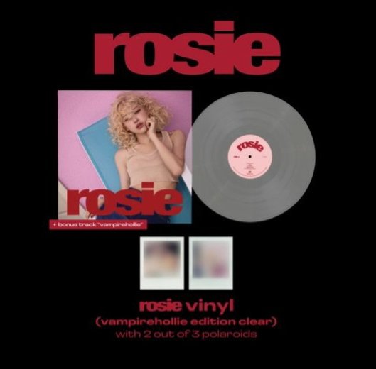 Album Rosé Vinyl Cover Band, Vinyl Vampirehollie US