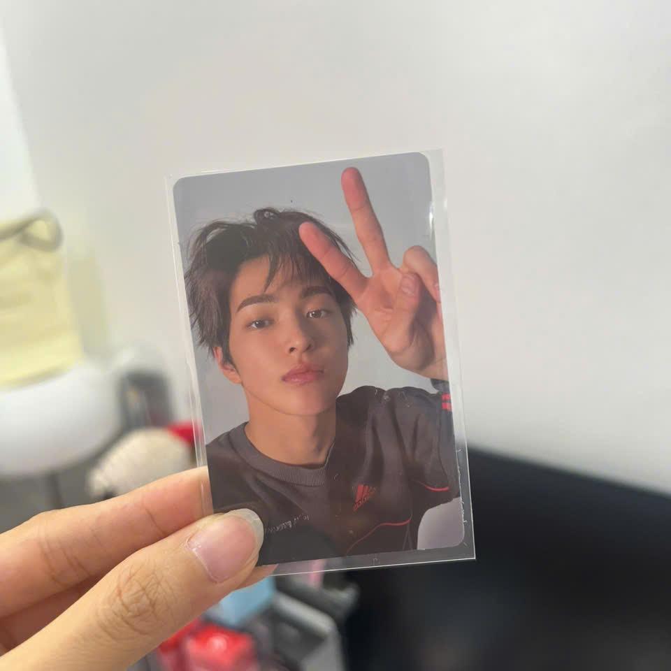 Photocard Cortis GREENGREEN official - Thẻ ảnh bo góc chính hãng