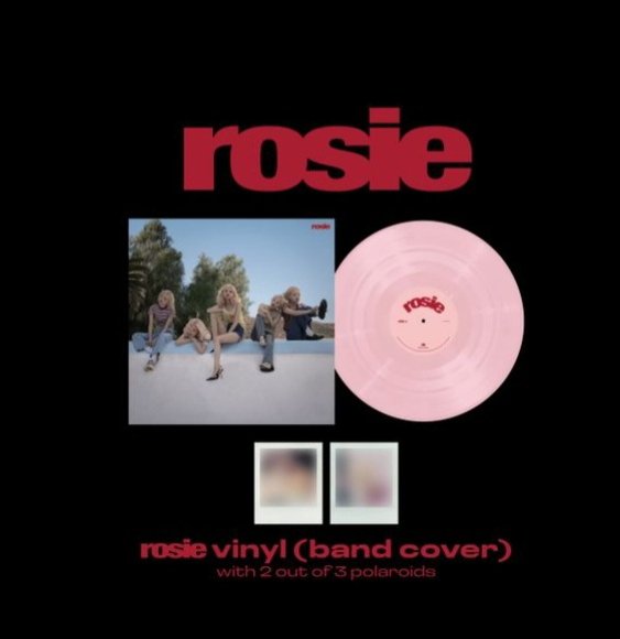 Album Rosé Vinyl Cover Band, Vinyl Vampirehollie US
