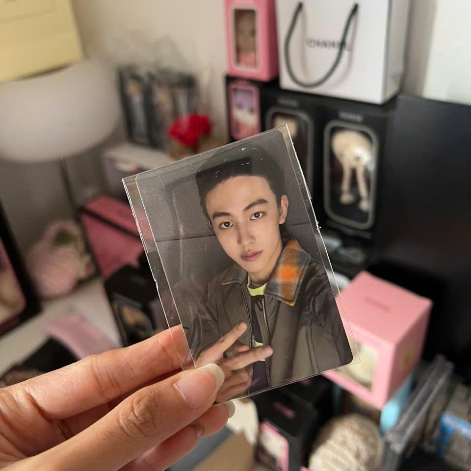 Photocard Cortis GREENGREEN official - Thẻ ảnh bo góc chính hãng