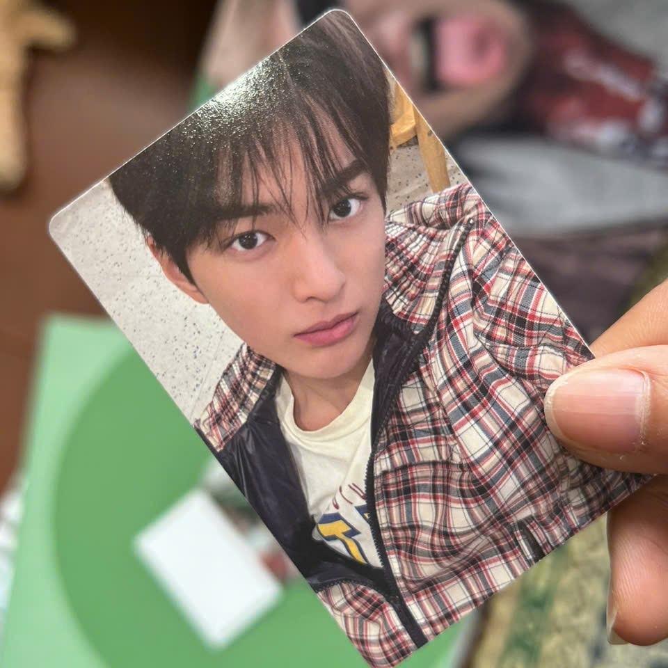 Photocard Cortis GREENGREEN official - Thẻ ảnh bo góc chính hãng