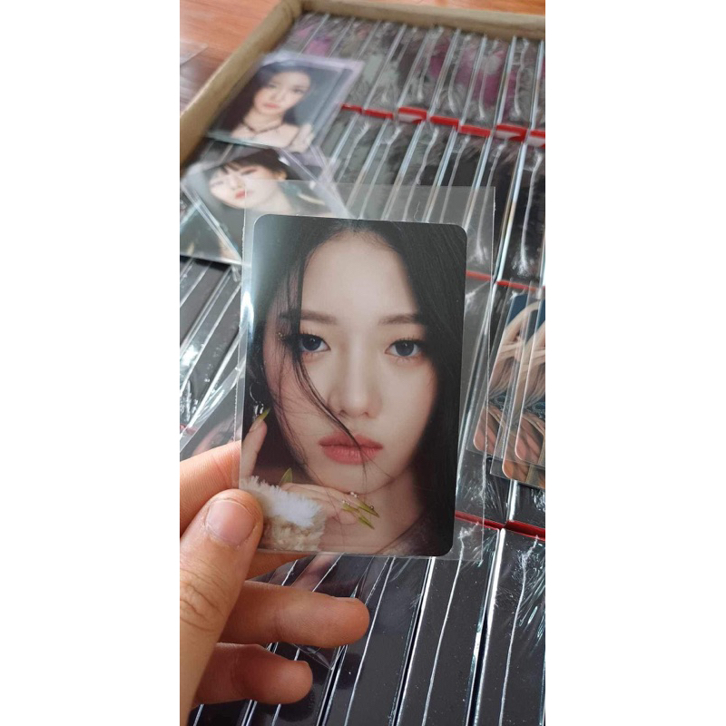 Photocard Babymonster