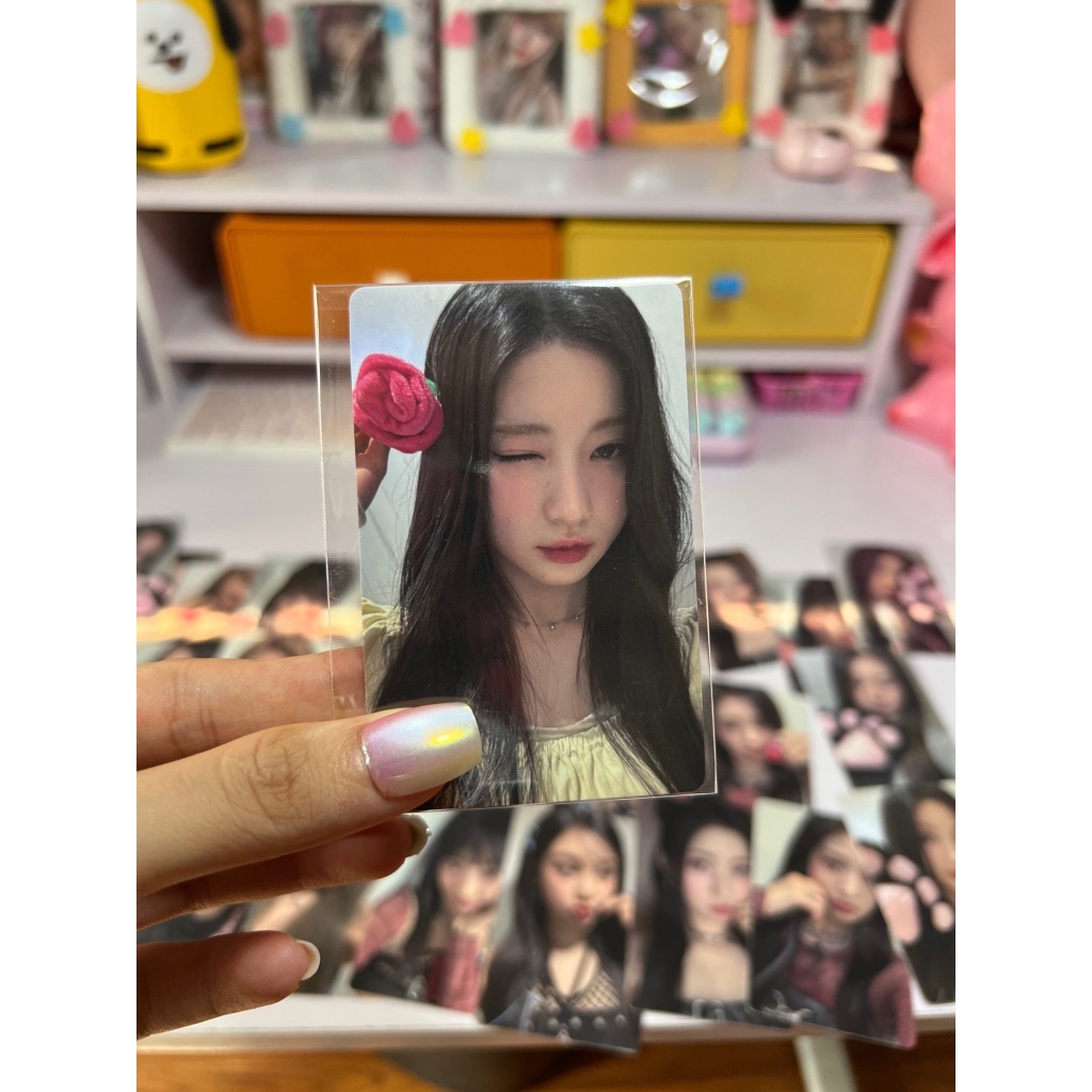 Photocard BABYMONSTER Rose Day - Set hoa