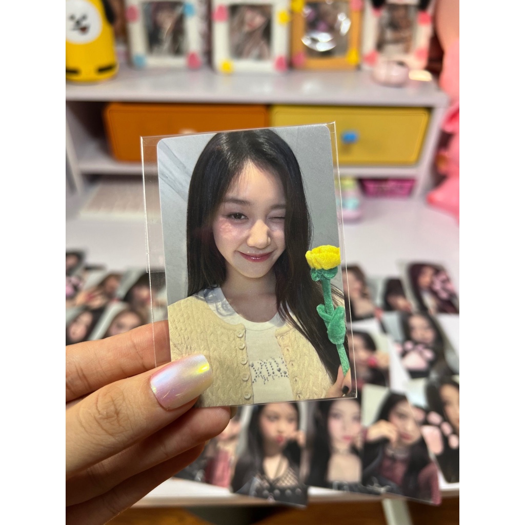 Photocard BABYMONSTER Rose Day - Set hoa