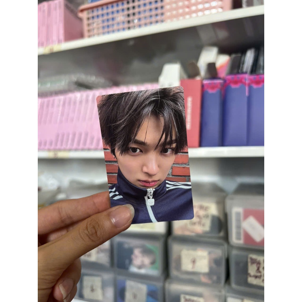 Photocard Cortis GREENGREEN official - Thẻ ảnh bo góc chính hãng