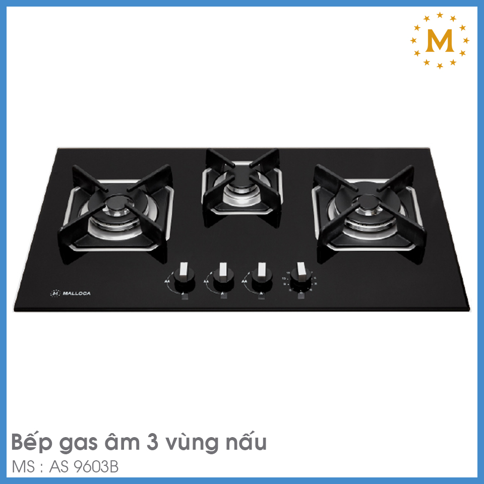 Bếp Gas Malloca AS 9603B