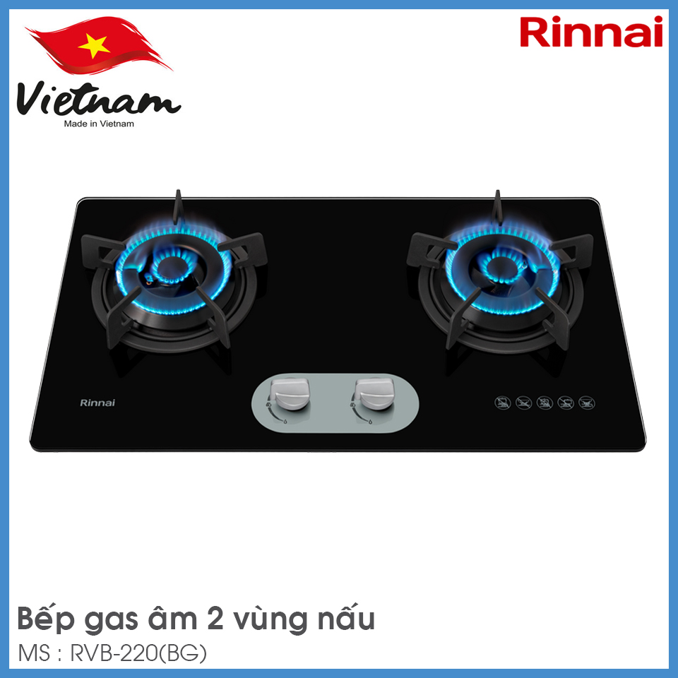 Bếp Gas Âm Rinnai RVB-220(BG)