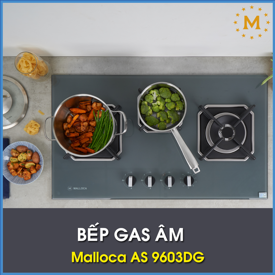 Bếp Gas Malloca AS 9603DG