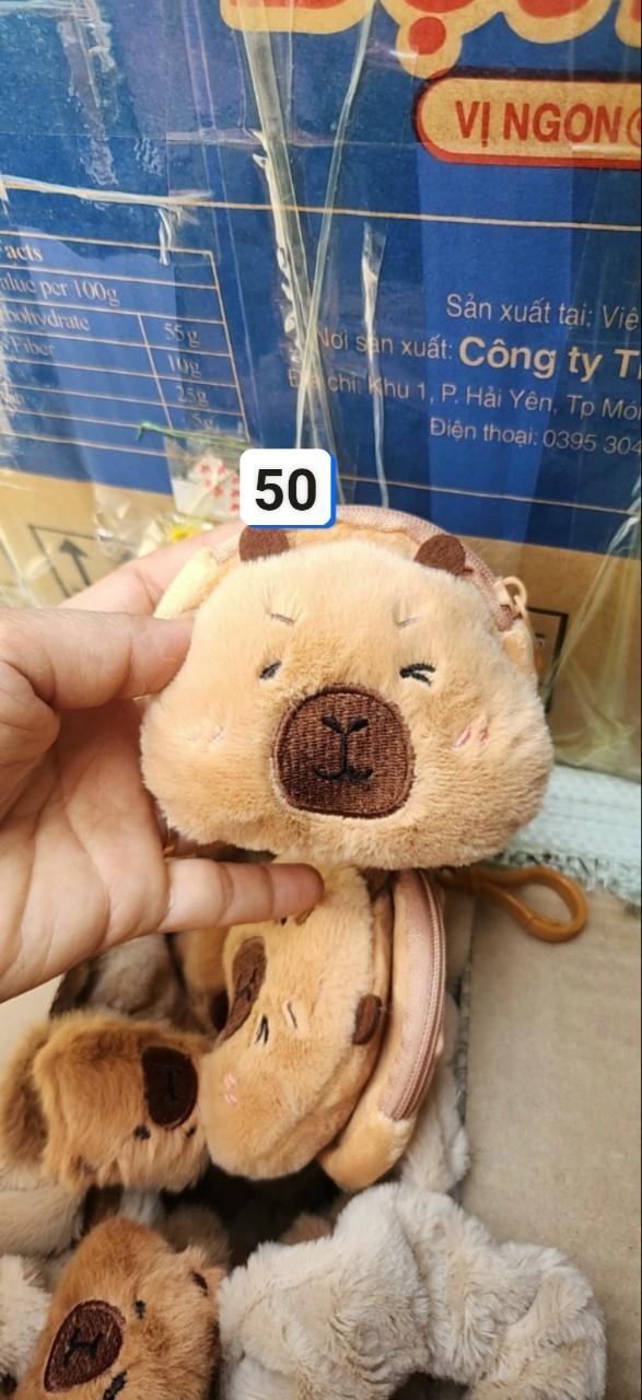 VÍ ĐỰNG TIỀN XU CAPYBARA (1)