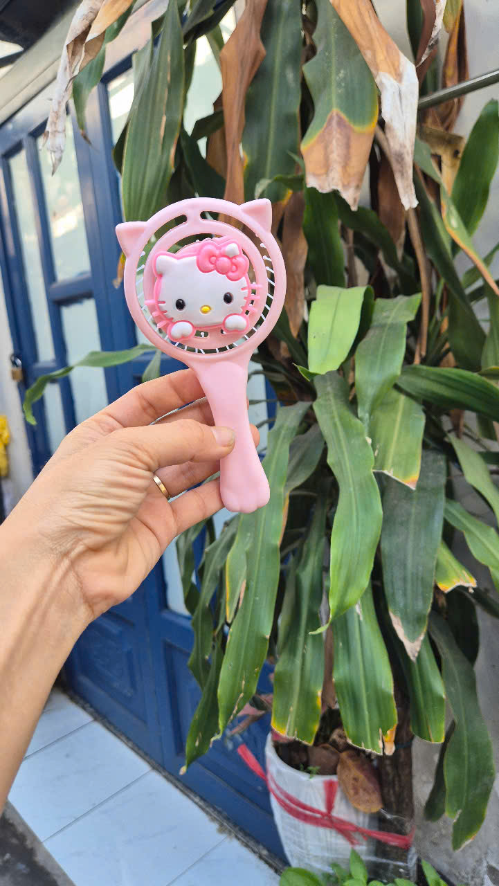 COMBO 20 CÁI (14K/CÁI) LƯỢC CHẢI MATXA KITTY HỒNG GỢN SÓNG MS1146