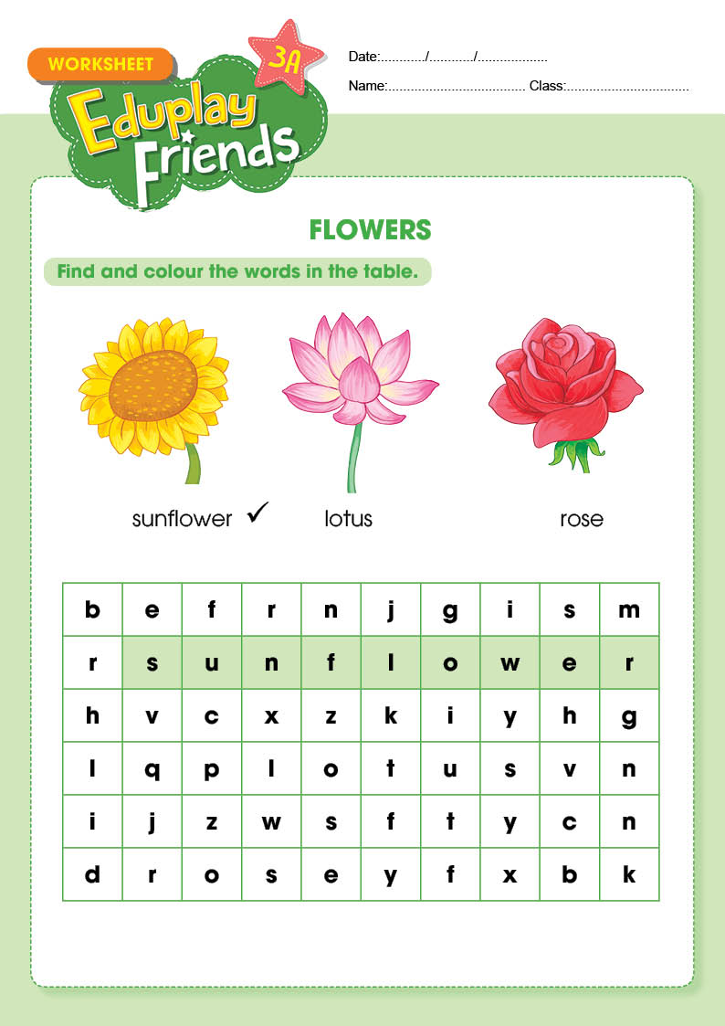 Eduplay Friends 3A - Flower