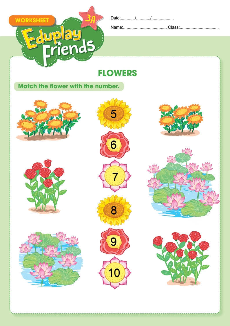 Eduplay Friends 3A - Flower