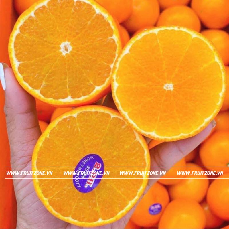 Quýt Úc 2PH | Hoa quả trái cây nhập khẩu | FruitZone