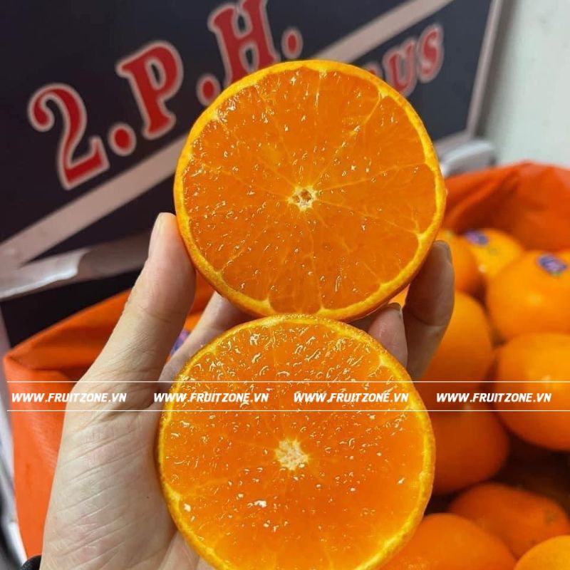 Quýt Úc 2PH Là Gì? Khám Phá Bí Mật Đằng Sau Loại Quả Đặc Biệt Từ Úc