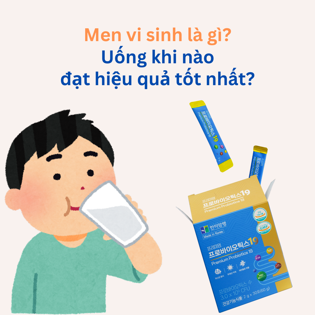 Men vi sinh là gì? Uống khi nào để đặt hiệu quả tốt nhất?