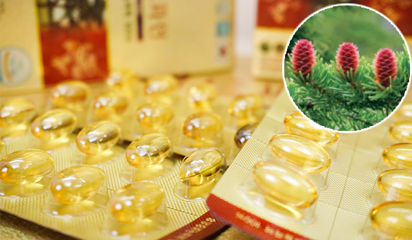 Tinh dầu thông đỏ có gây nóng trong không? Sự thật bạn cần biết