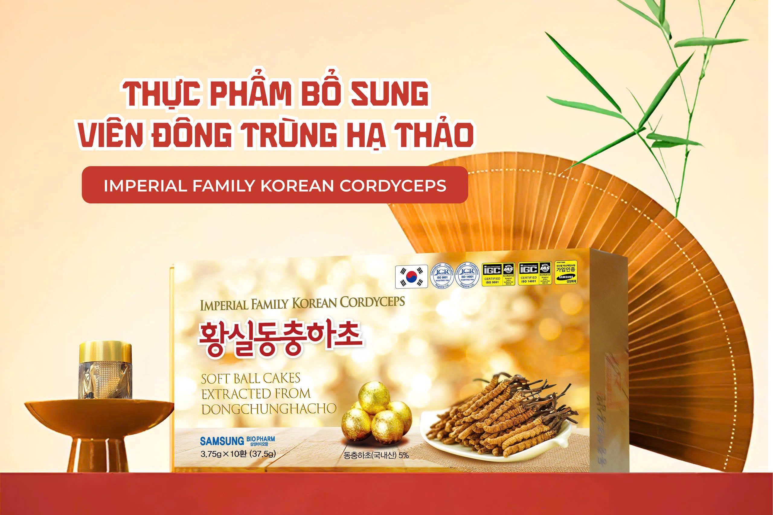 Đông trùng hạ thảo – “thần dược” bồi bổ sức khỏe, chống lão hóa từ thiên nhiên