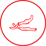 Đông trùng hạ thảo