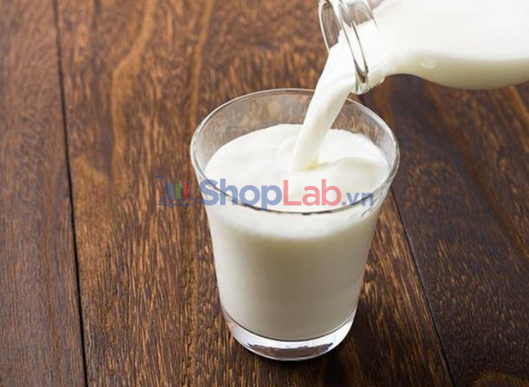 Sữa là loại thực phẩm được xếp vào loại giàu canxi nhất