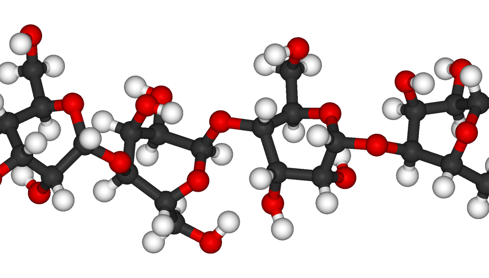 Cellulose là hợp chất polyme mạch thẳng