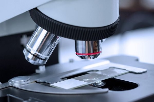 Khám phá cấu tạo và cách dùng kính hiển vi chi tiết