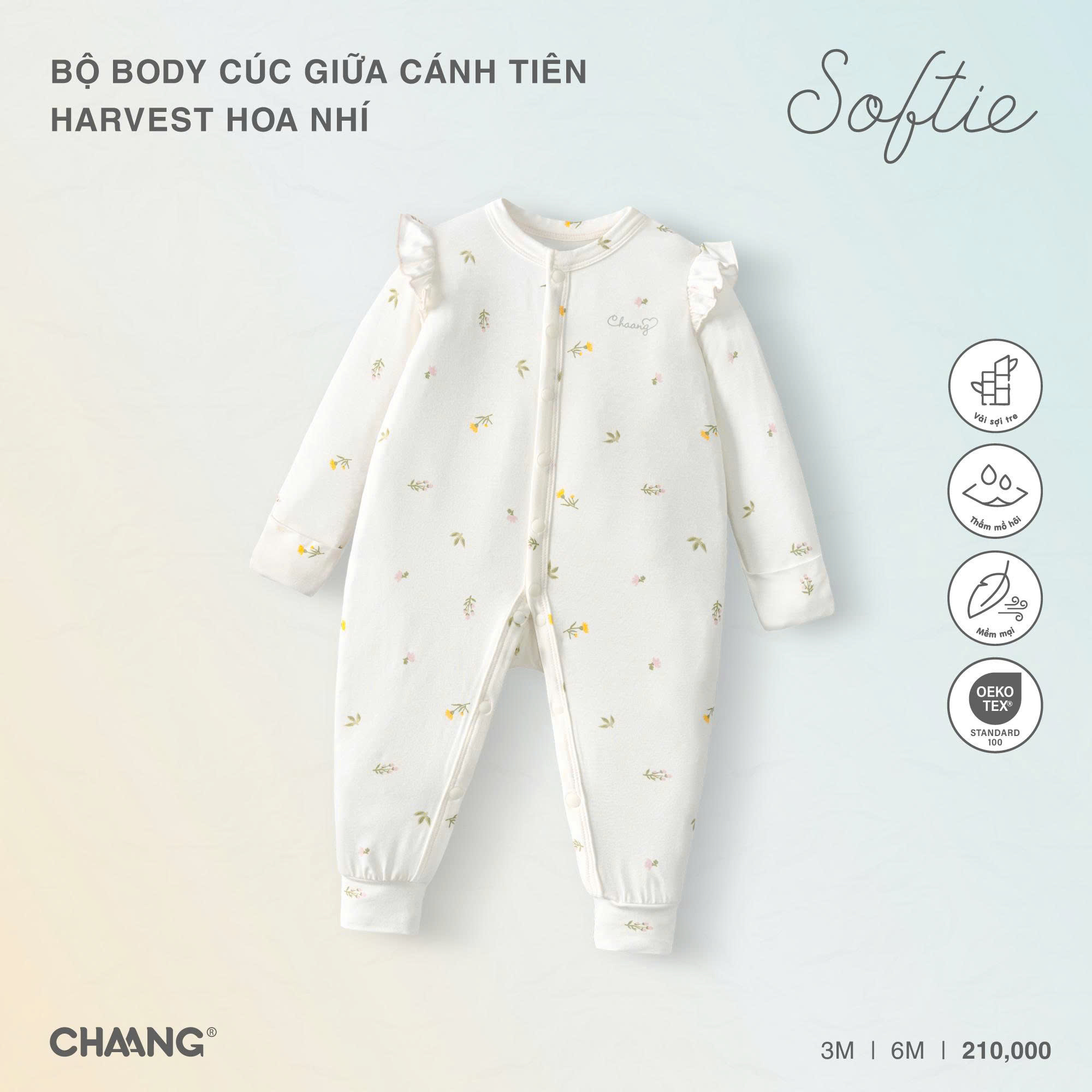 Bộ body cúc giữa cánh tiên Harvest hoa nhí