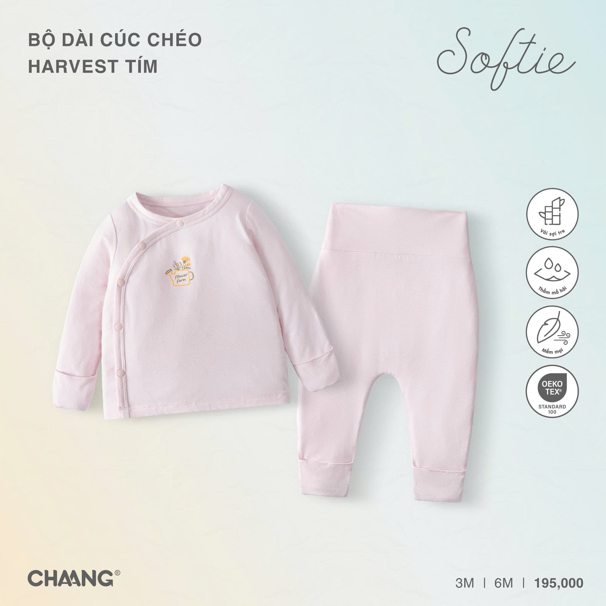 Bộ dài cúc chéo Harvest tím
