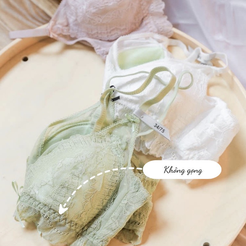 Bra đệm mỏng không gọng 250
