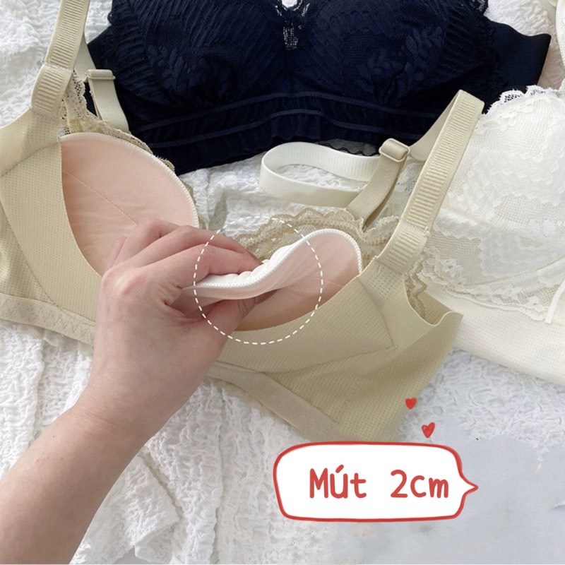 Áo lót đệm dầy 2,5cm không gọng 6241