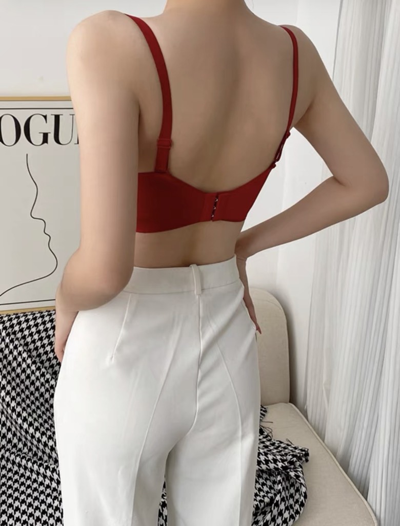 Áo lót đệm 2cm có gọng 2272