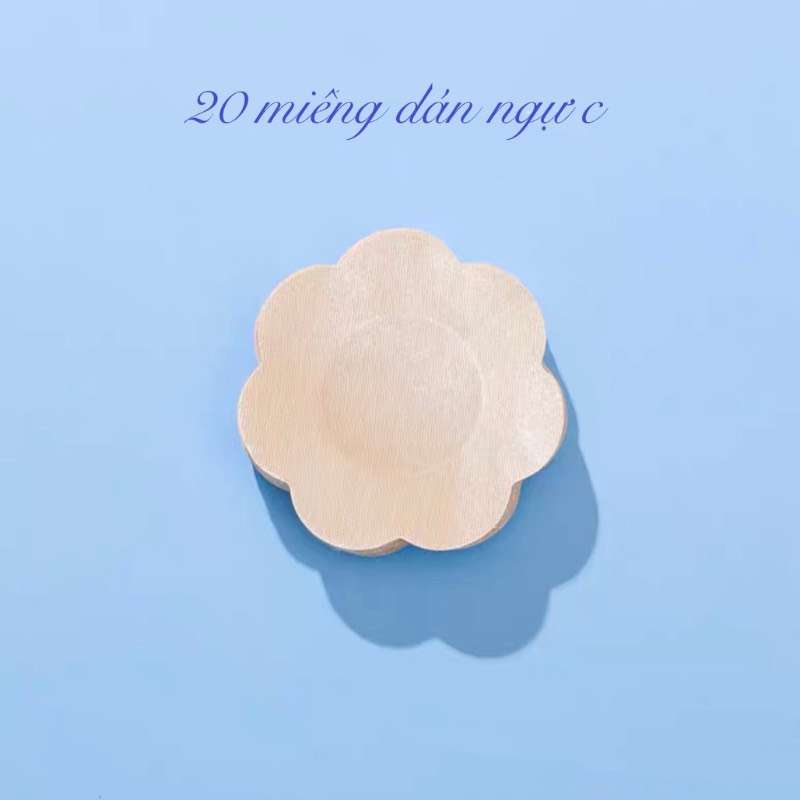 Miếng dán nhũ hoa vải túi 20 miếng 1905