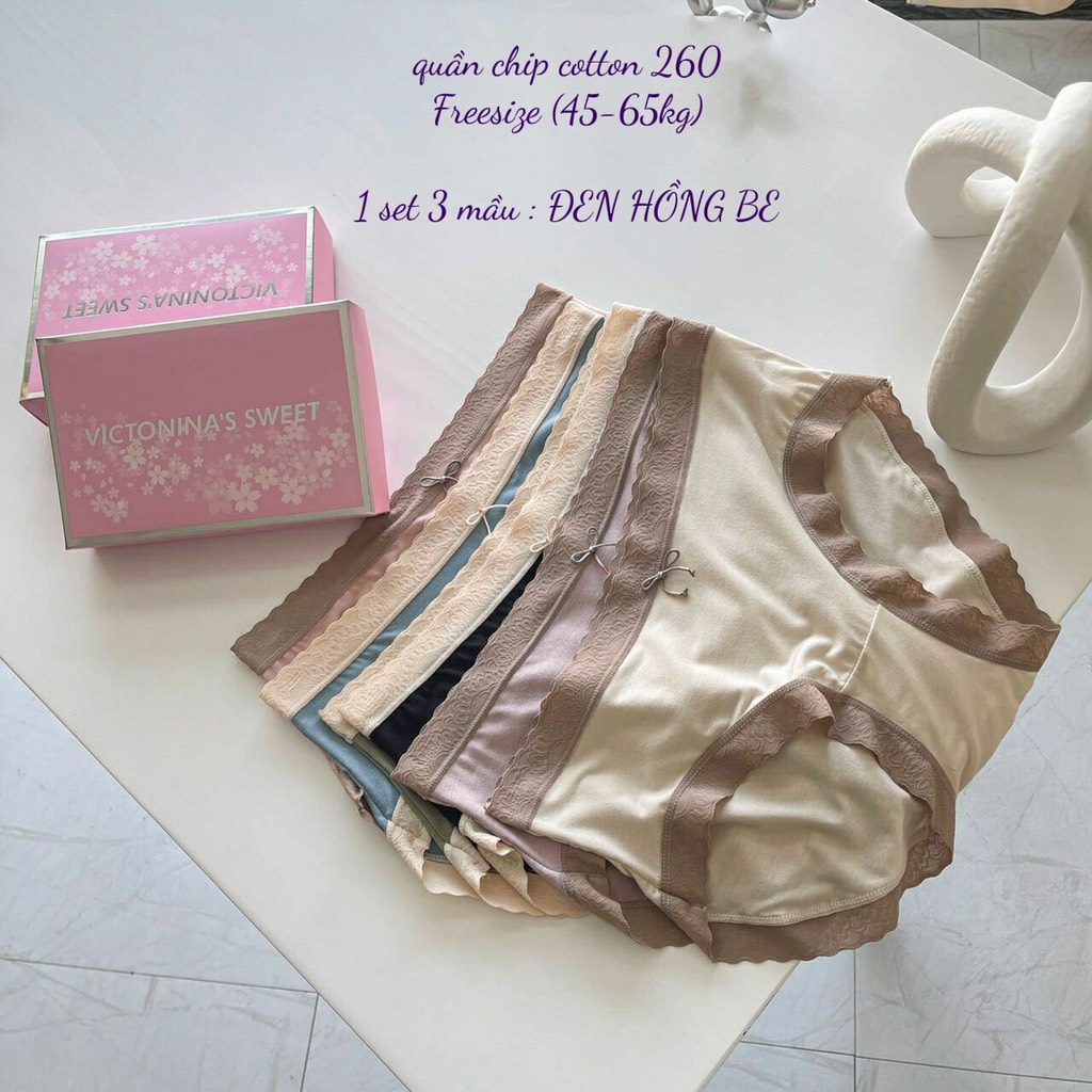 Set quần cotton 260