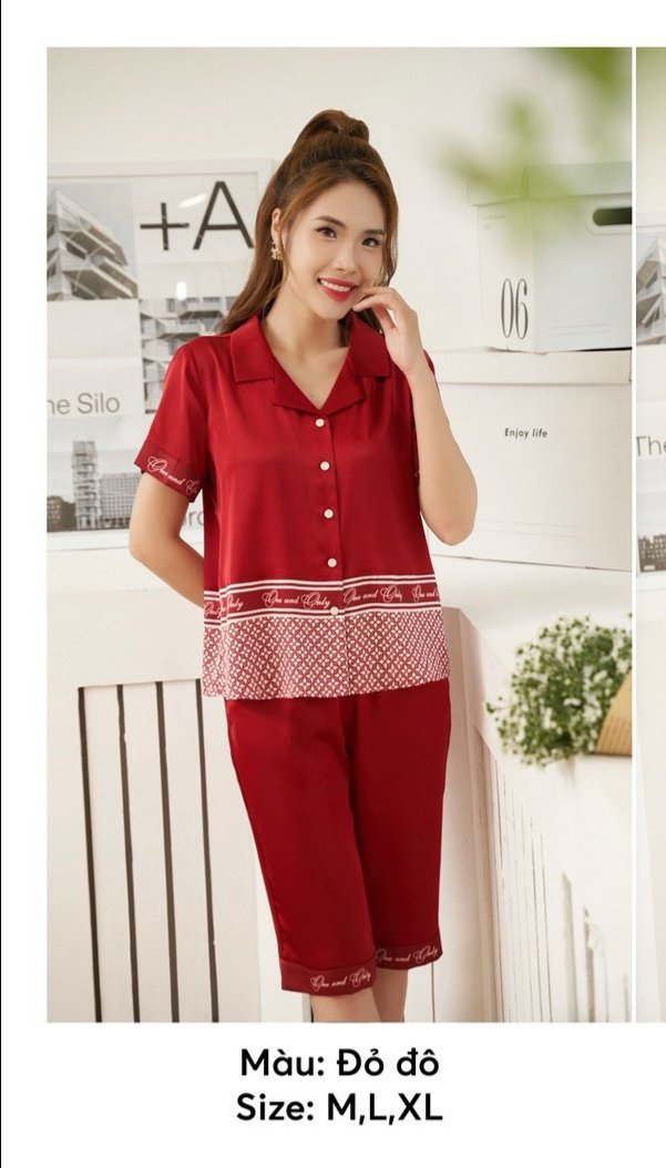 Bộ sun fly Lụa ,QL áo tay cộc -ST9158