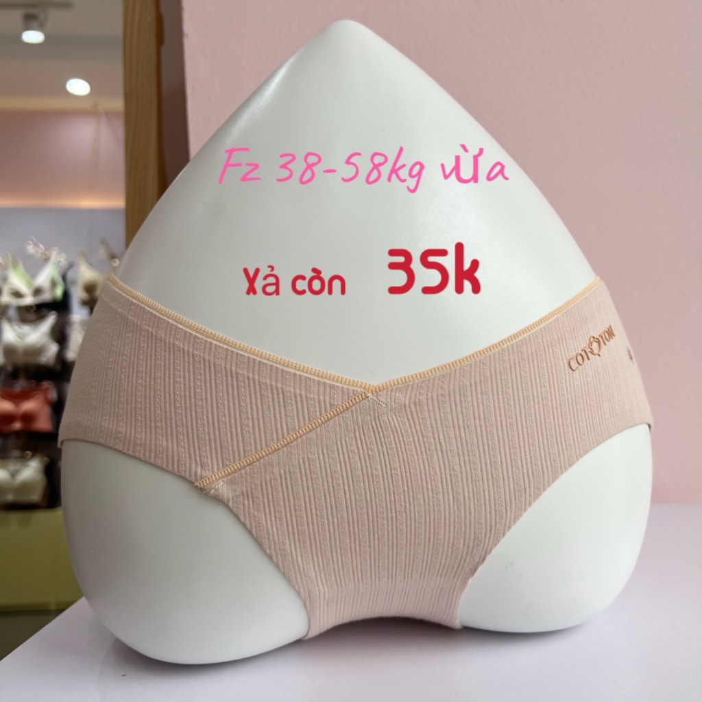 Quần chip cotton 531