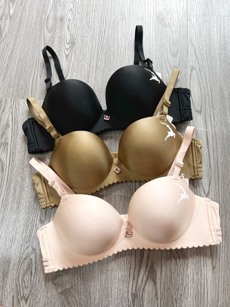 Áo lót đệm dầy 5cm 6622