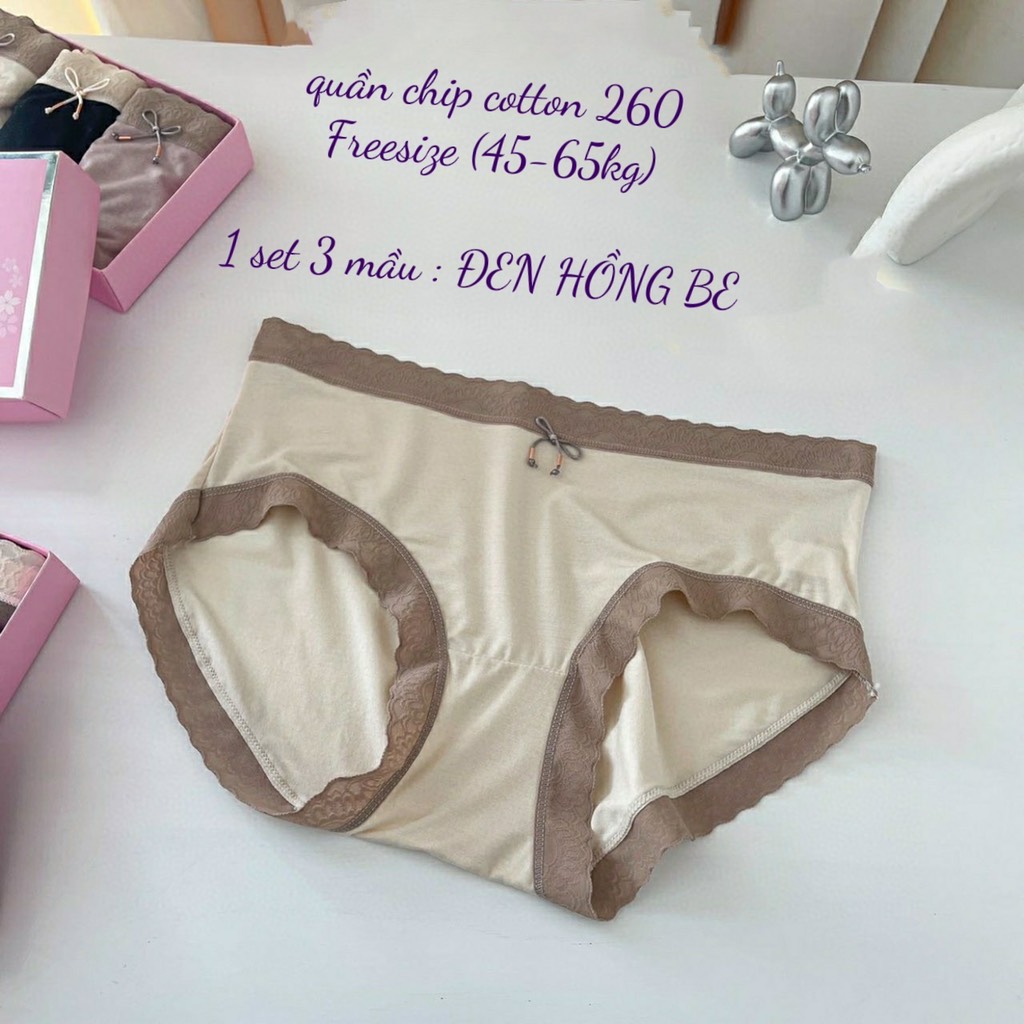 Set quần cotton 260