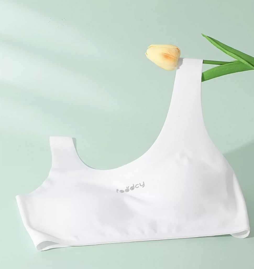 Áo bra chất đúc lạnh 5822