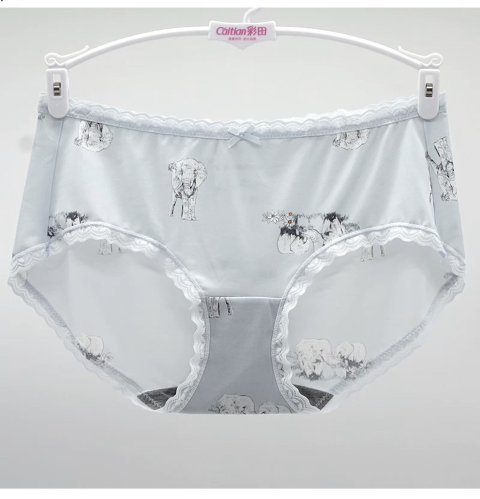 Quần chip thun lạnh 76234