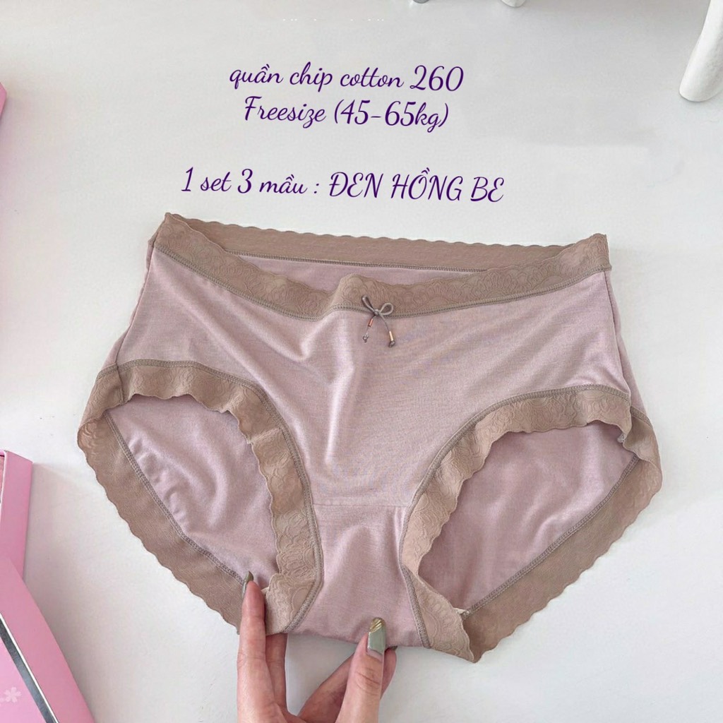 Set quần cotton 260