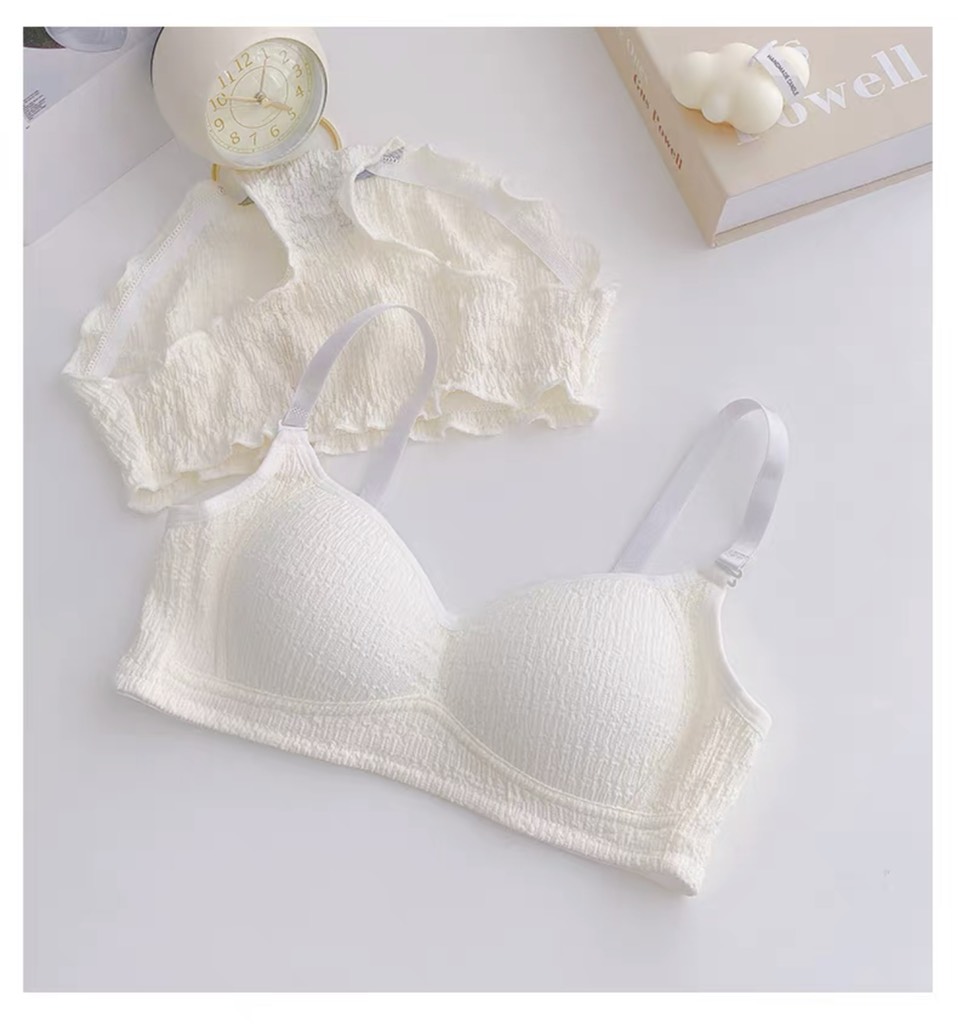 sét bra cotton đệm liền 3234