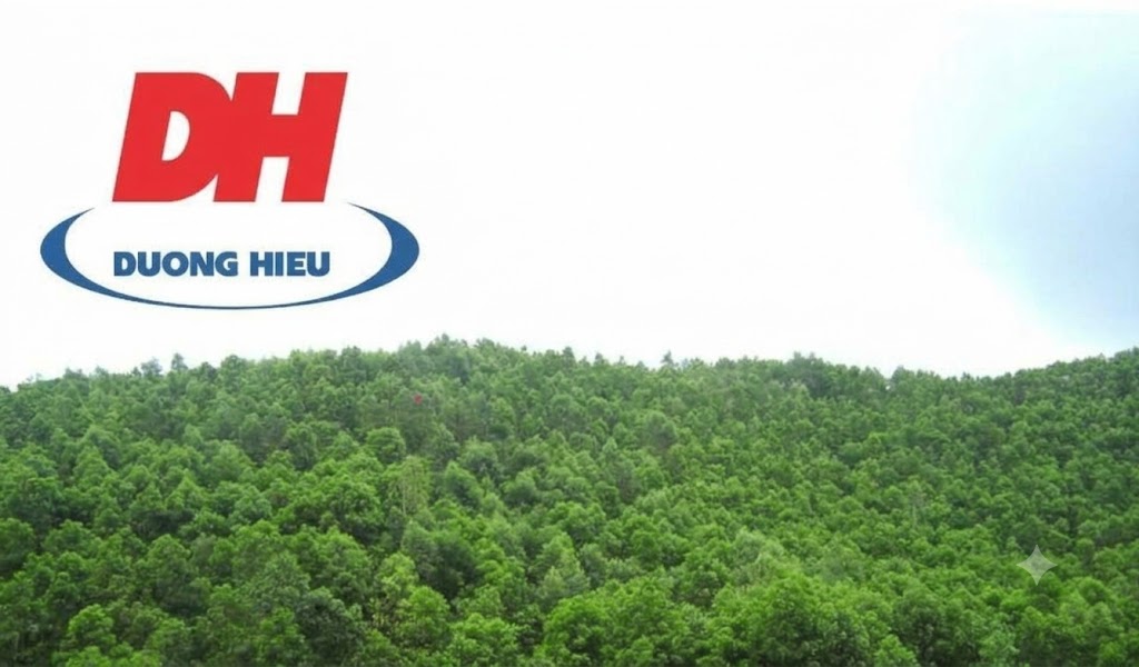 DỰ ÁN FSC: NHÓM CHỨNG CHỈ RỪNG FSC VÕ NHAI 2 CHIA SẺ VÀ CÔNG KHAI CÁC TÀI LIỆU ĐẾN THÀNH VIÊN NHÓM VÀ CÁC BÊN LIÊN QUAN