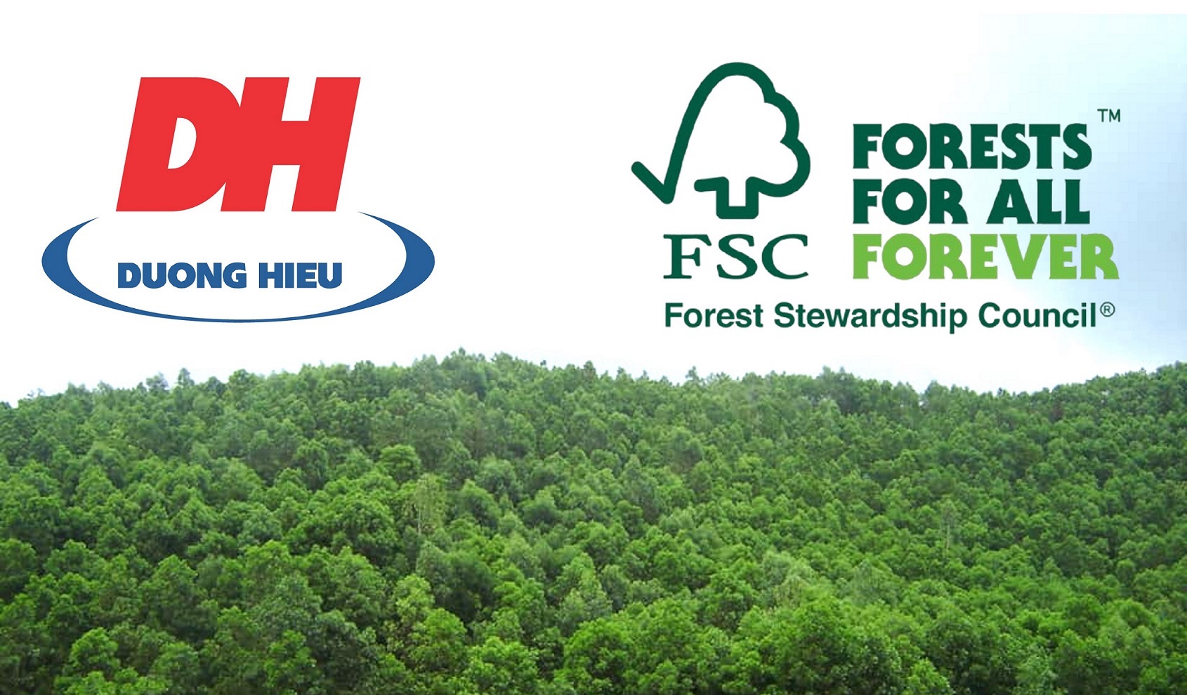 Dự án rừng FSC: Thông báo về việc công khai kết quả giám sát Quý 2 năm 2025