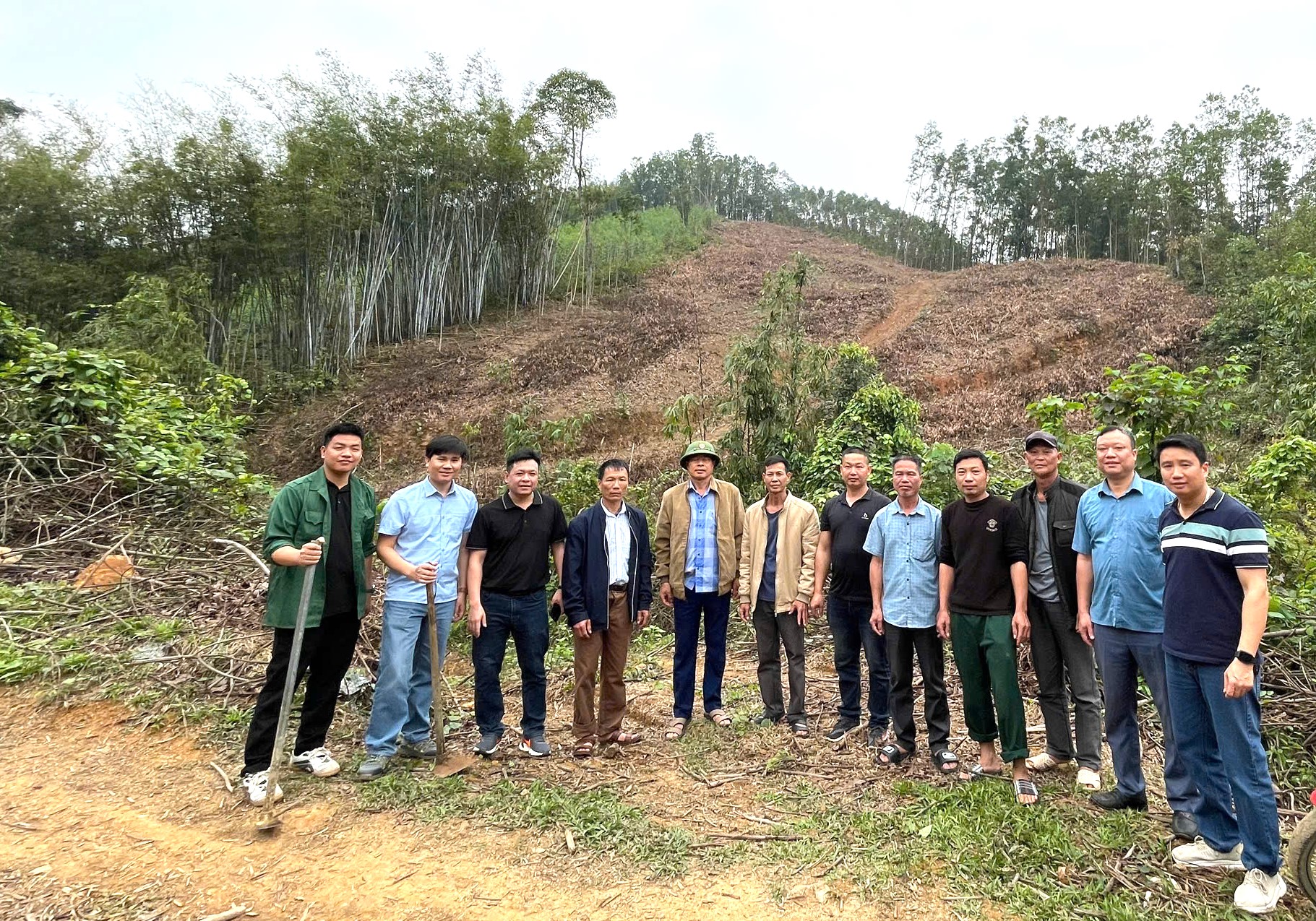 Công ty Dương Hiếu triển khai mở rộng diện tích rừng trồng được cấp chứng chỉ FSC tại huyện Võ Nhai
