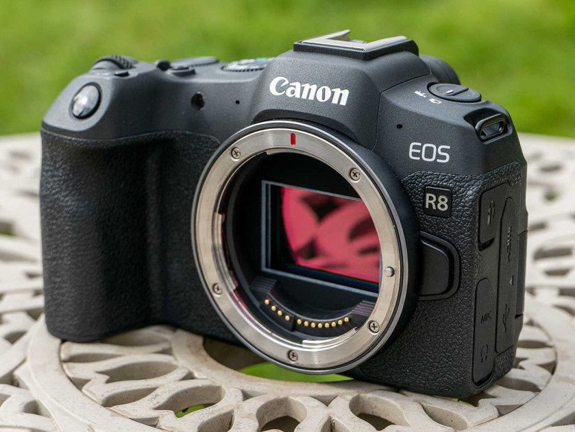 Canon EOS R8 quay video 4K sắc nét