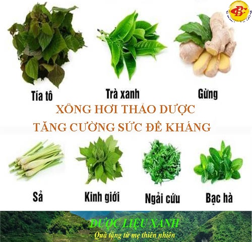 lá dùng xông hơi