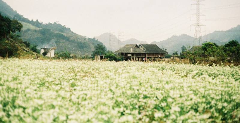 ha-giang-vietnam-rt-travel