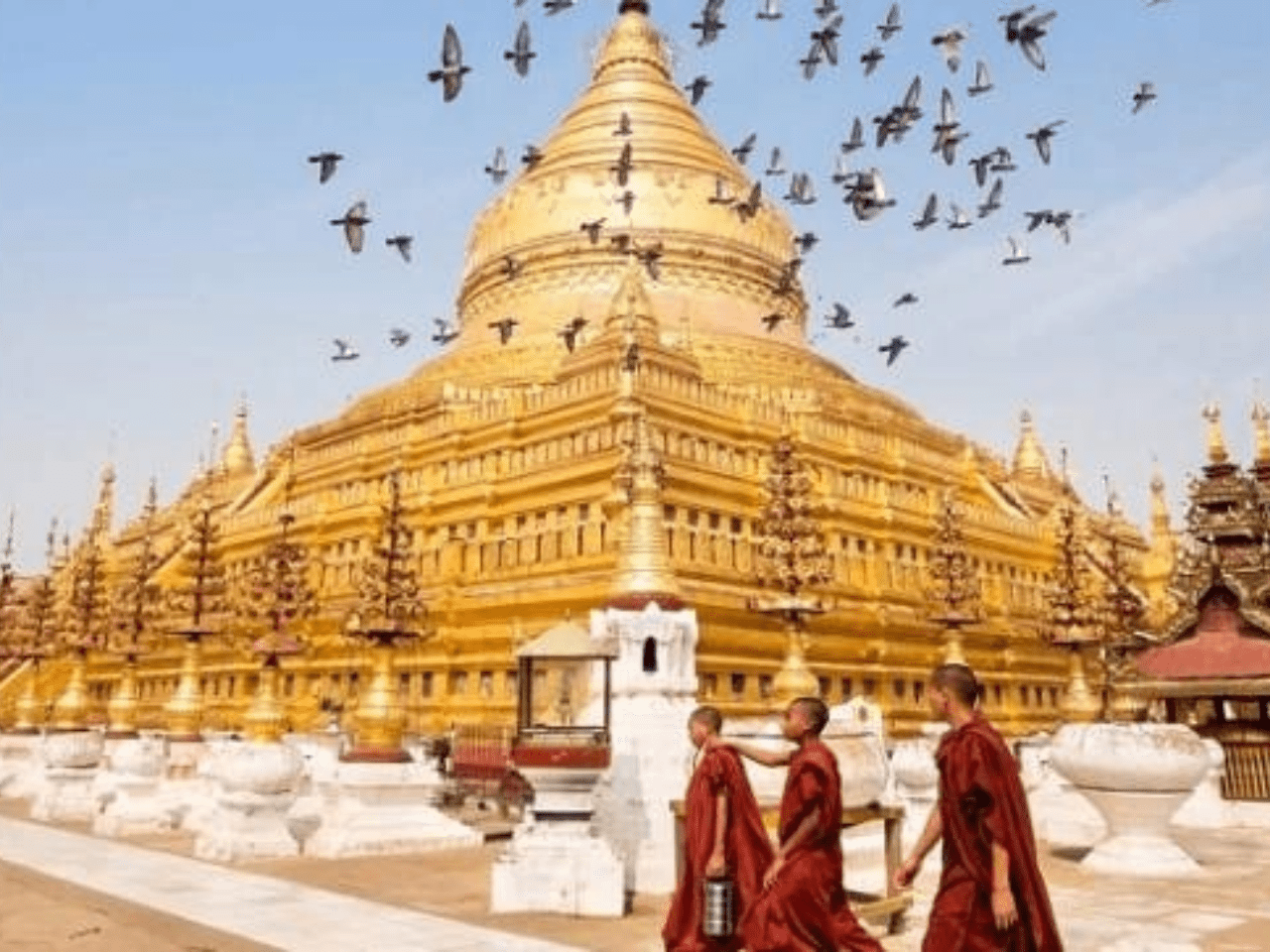 Highlight Vietnam - Myanmar